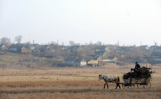 Gallery 24 hours in pictures: A man rides a horse carrying wood collected in the forest