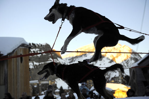 Gallery The week in wildlife: -