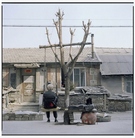 Gallery Gallery Luo Dan: The fish on the road