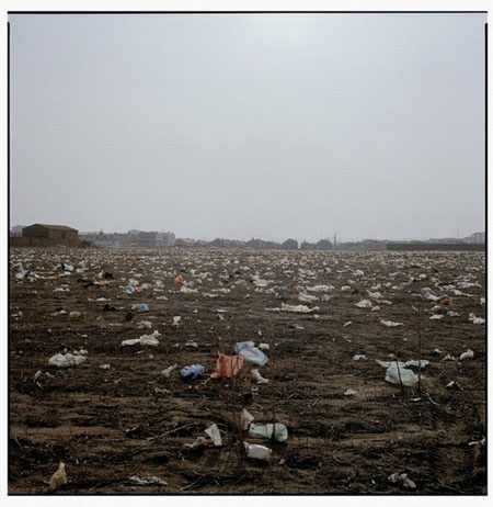 Gallery Gallery Luo Dan: The fish on the road