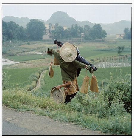 Gallery Gallery Luo Dan: The fish on the road