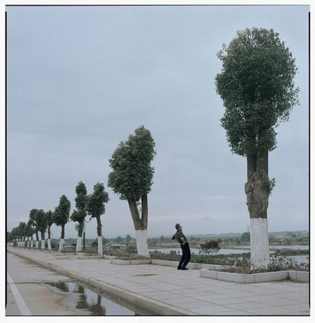 Gallery Gallery Luo Dan: The fish on the road