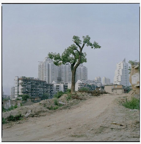 Gallery Gallery Luo Dan: The fish on the road