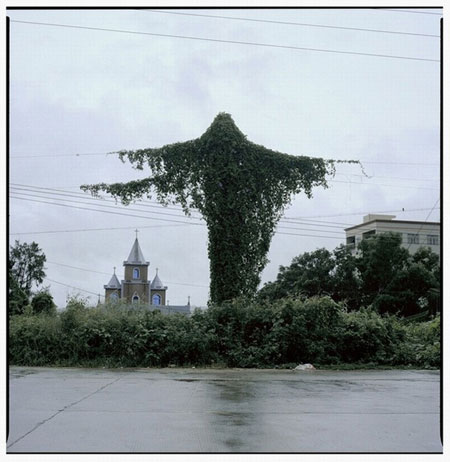 Gallery Gallery Luo Dan: The fish on the road