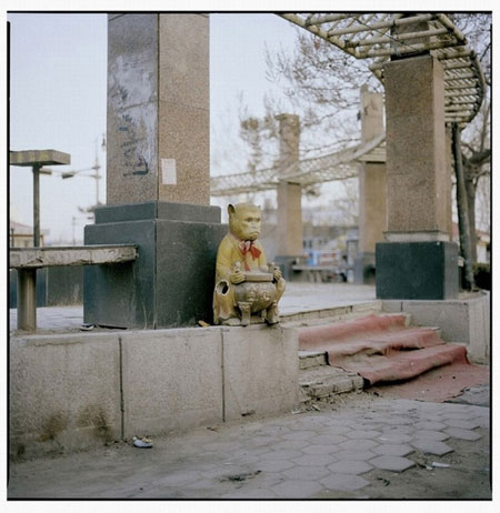 Gallery Gallery Luo Dan: The fish on the road