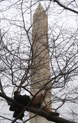 Gallery We Are One: A man watches atop a tree