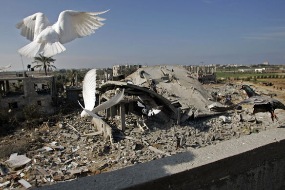 Gallery 24 hours in pictures: Gaza city during the ceasefire 