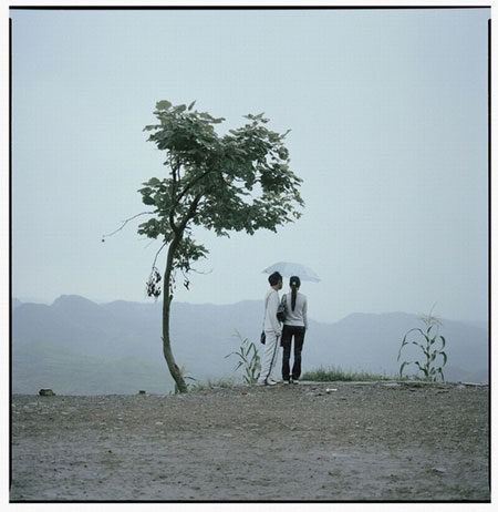 Gallery Gallery Luo Dan: The fish on the road