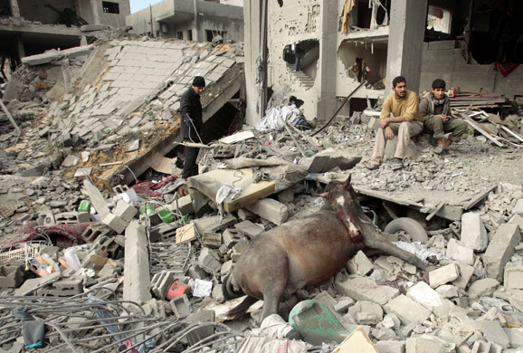 Gallery 24 hours in pictures: Palestinians sit beside dead horse