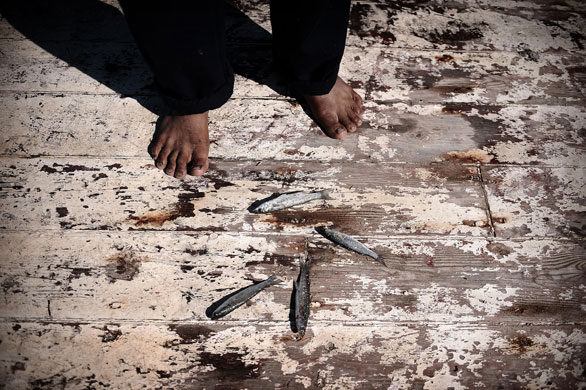 Gallery 24 hours : A Palestinian fisherman stands over his catch of fish in Gaza City