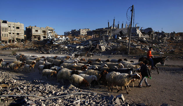 Gallery Gaza After Ceasefire: Gaza After Ceasefire