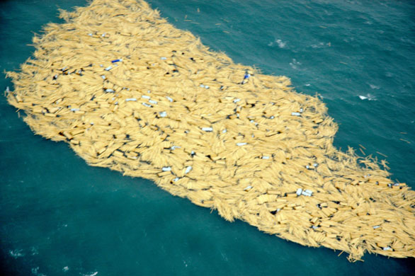 Gallery Timber galore: a Russian-registered cargo ship lost 1,500 metric tonnes of timber