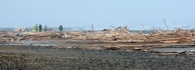 Gallery Timber galore: People walk through the timber on Ramsgate beach