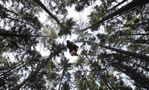 Gallery Week in wildlife: An environmental activist climbs between trees 