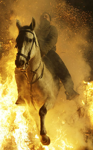 Gallery Week in wildlife: A man rides his horse through flames