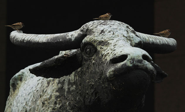 Gallery Week in wildlife: Birds rest on a sculpture of an ox