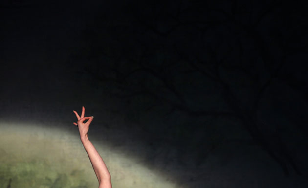 Gallery Week in wildlife: Jiangsu Art Group of China performs the Peacock Dance