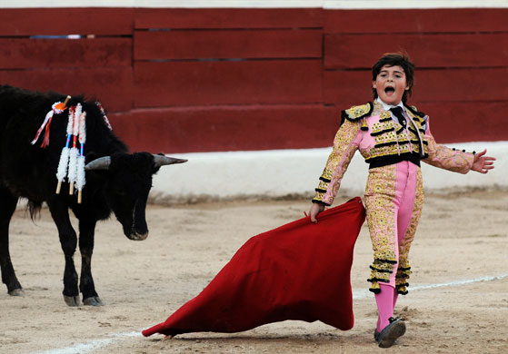 Gallery Michelito, bullfighter: Michelito, ten year old bullfighter