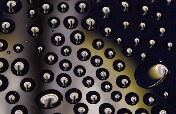 Gallery 27 January 2009: Seattle, US: A view of the Space Needle through water droplets on glass