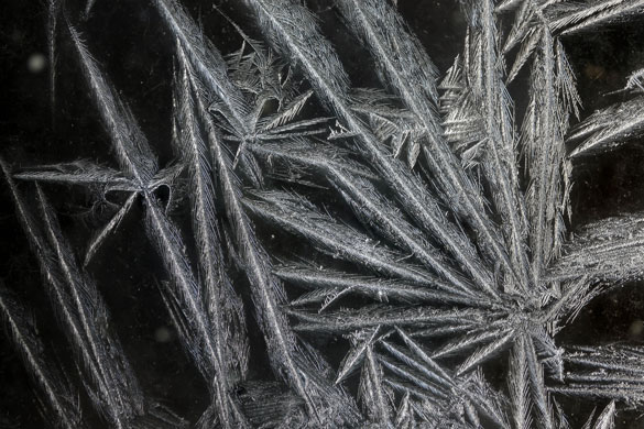 Gallery 24 hours in pictures: Frost forms on a window during the cold winter weather in New York state