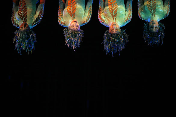 Gallery 29 January 2009: Cast members of the Cirque Du Soleil show 