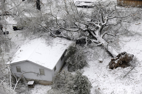 Gallery 29 January 2009: Cotter, US: A tree lies on a house