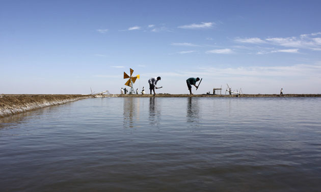 Gallery 30 January 2009: Kuda, India: Salt workers make a salt pan