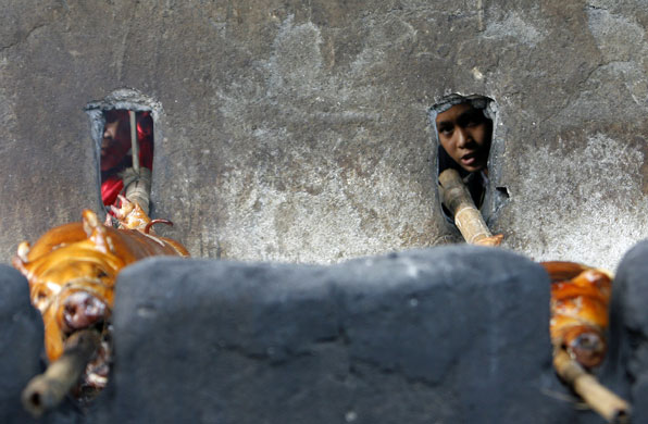 Gallery 30 January 2009: Manila, Philippines: Workers roast pigs through an oven opening