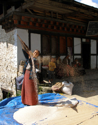 Gallery In Pictures: Gravity: Graham Roberts