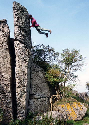 Gallery In Pictures: Gravity: Gregory Lucas