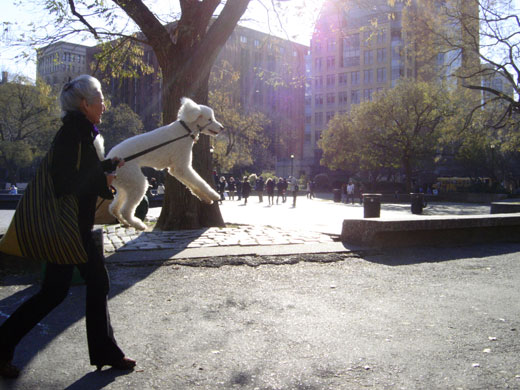 Gallery In Pictures: Gravity: Quentin Antoine