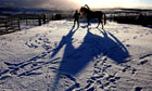 Cold weather in County Durham 