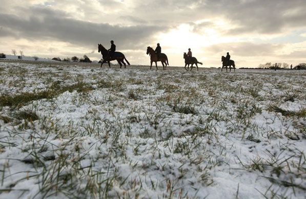 Gallery Snow: Epsom, UK: Horses are excercised on Epsom Downs racecourse