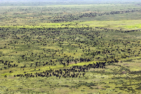 Gallery Nature's Great Events: Nature's Great Events