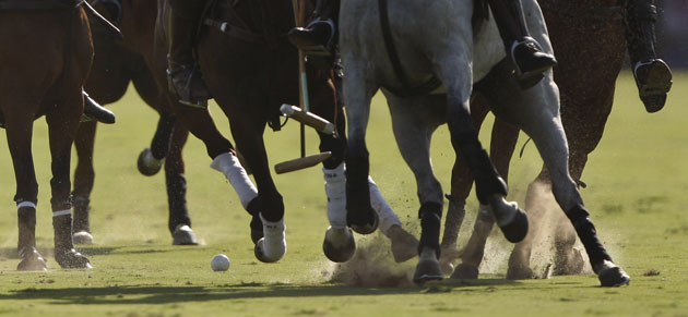 Gallery 24sport: Polo