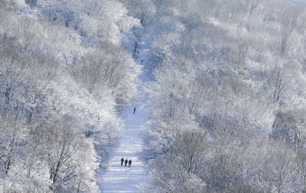Gallery 6 January 2009: Berlin, Germany: Strollers walk through the snow at Tierpark