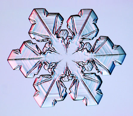 Gallery Snowflakes: A Sectored Plate snowflake
