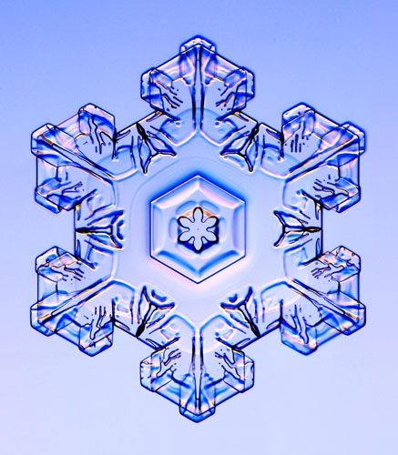 Gallery Snowflakes: A Stellar Plate snowflake