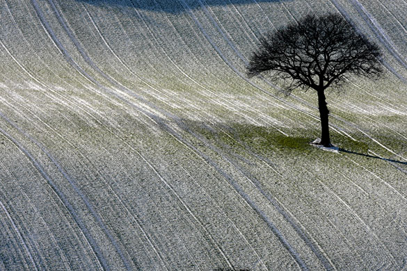 Gallery snow: Bewdley, Worcestershire: Continuing heavy frosts