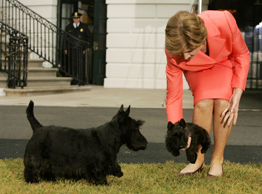 Gallery President George W Bush: President And Mrs. Bush Show Off New Puppy