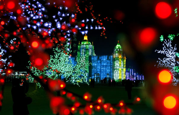 Gallery Harbin: Visitors admire the lighted trees and ice carvings