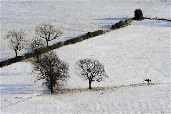 Gallery snow: Snow blankets fields in Kettleshume, Cheshire 