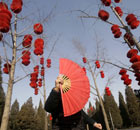 Exercising in Ditan Park, Beijing