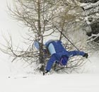 A male skier falling on a tree while skiing