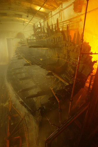 Mary Rose : The Tudor warship Mary Rose