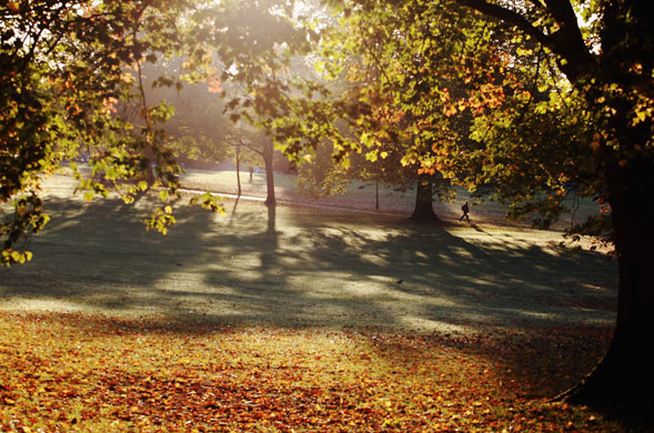 Autumn: A man walks through Victoria Park in Bath