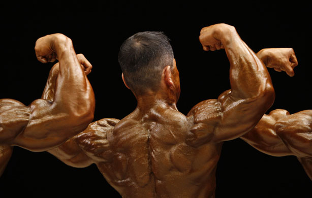 bodybuildres: body-building