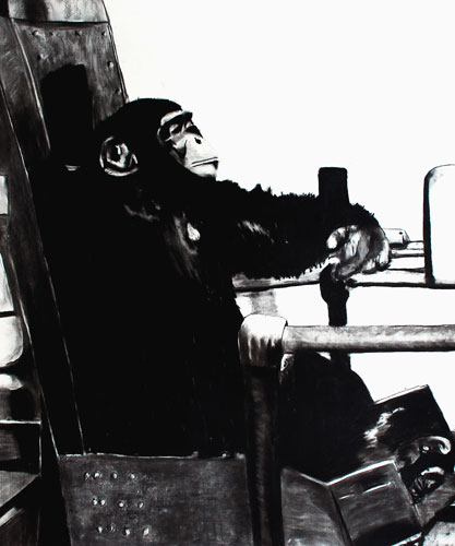 Space pioneers: Space pioneers Ham 300