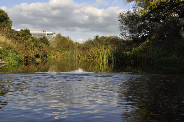 River Roding camera club: A weir on the River Roding in Loughton, Essex 