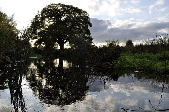 River Roding camera club: The River Roding in Loughton, Essex
